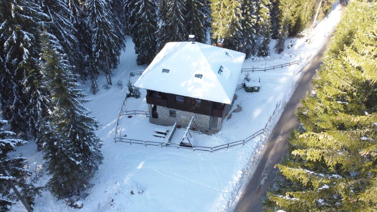 Apartments Villa Vesna Pokljuka Goreljek Екстериор снимка
